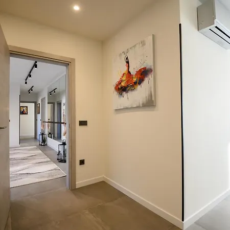 Carlotta 비지나다