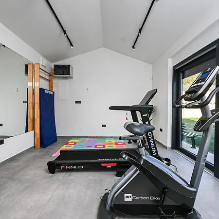 فيلة Carlotta Vižinada